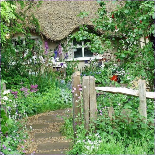 Master Space Clearing Attunement