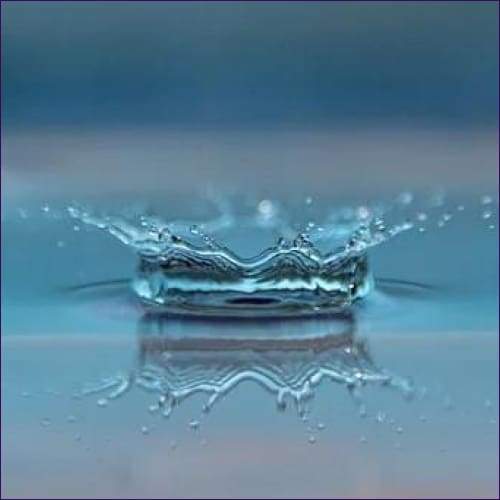 Avalon Crown of Success