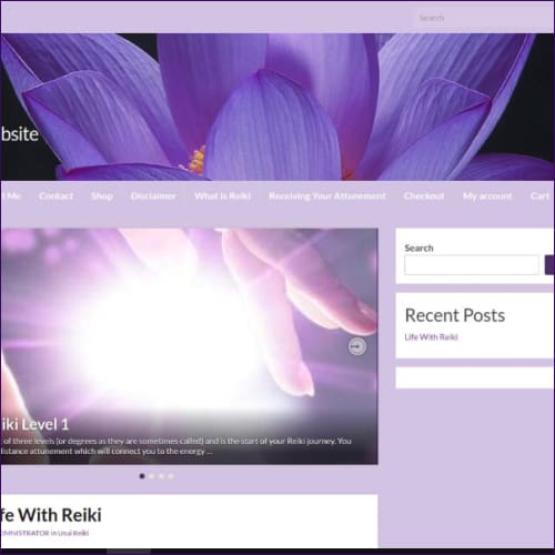 Usui Reiki Healing Business Package With Website - digital download