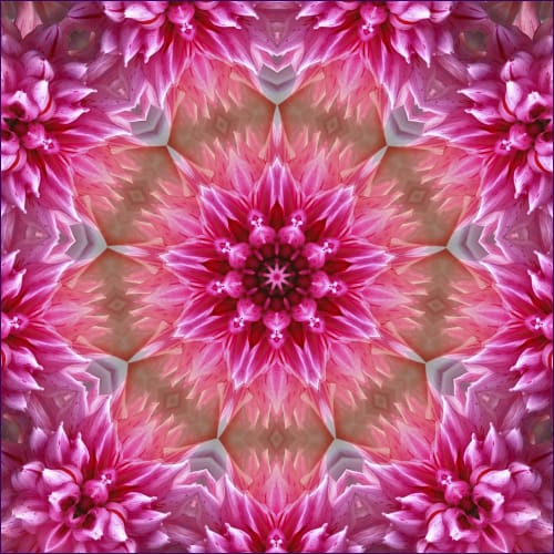 Wijaya Kusuma Essence