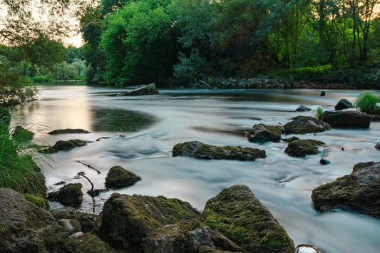 Food for Soul: Meditation Centers in California