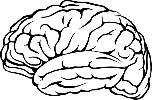 Layers of Personality Development