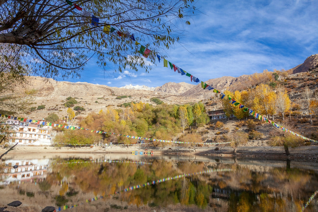 A lake surrounded by mountains and a forest