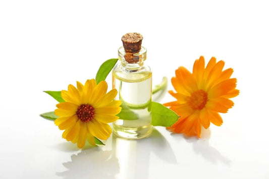 The Shelf Life of Essential Oils and How You Can Extend It