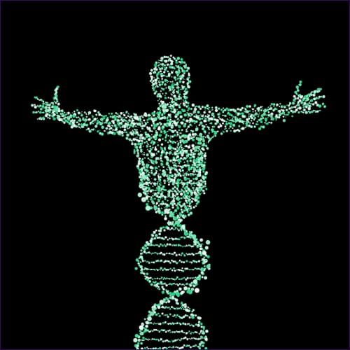 12 Strand DNA Activation - digital download