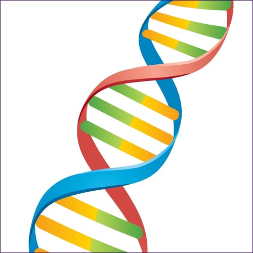 24 Strand DNA Activation - digital download