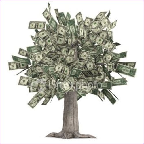 Abundance Tree Reiki