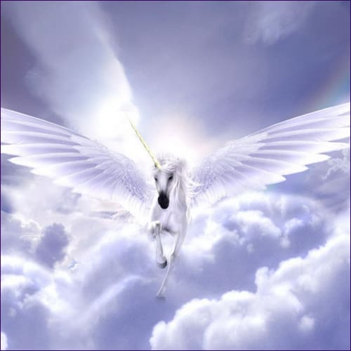 Angels And Unicorns Reiki Attunement