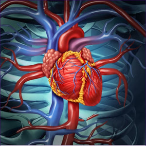 Cardiovascular Disease Reiki
