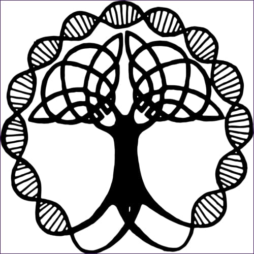 Celtic Oak Empowerment