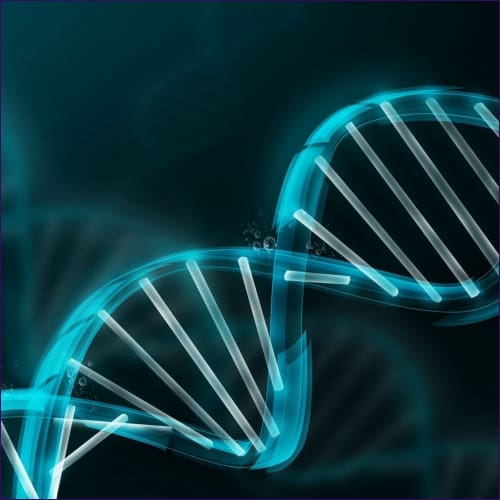 DNA Light Integrative Reiki