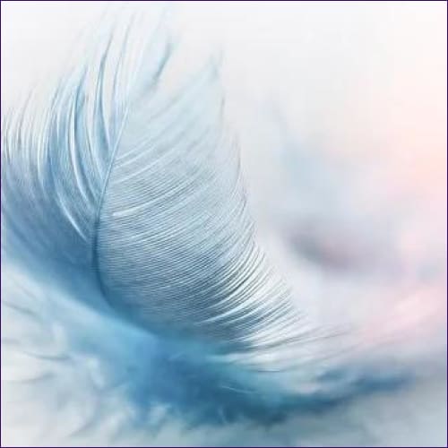 Feathers Of An Angel