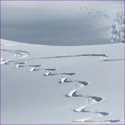 Fresh Snow-Cleansing Reiki