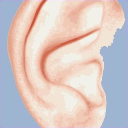 High Energy Healing-Eardrum & Ear Canal Reiki