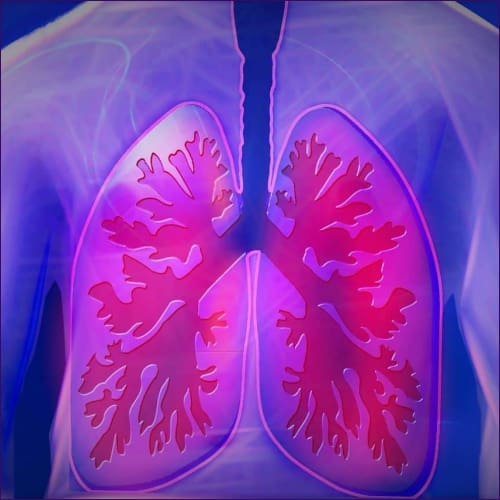 Lung Adaptation Empowerment