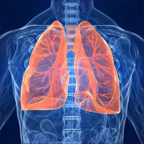 Lung Care Attunement
