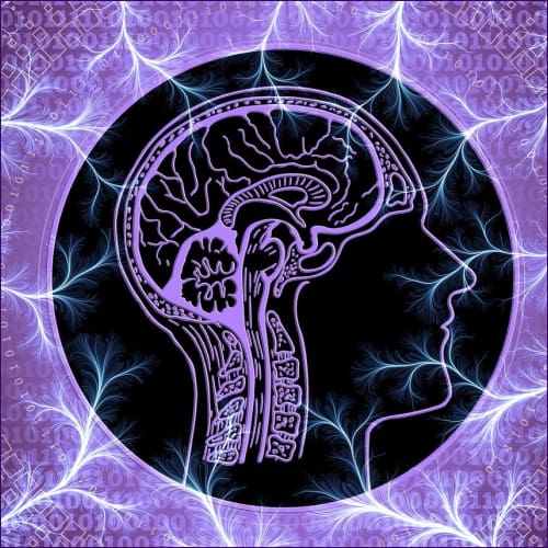 Magnetic Brain Crystals Cleansing Reiki - digital download