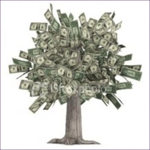 Money Seed Reiki Attunement