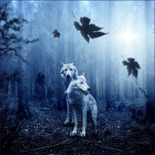 Mystical Forest Wolf Empowerment