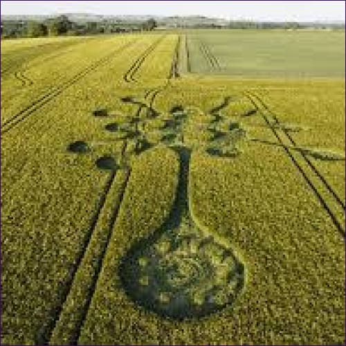 New Crop Circles Magick Reiki - 3 Levels