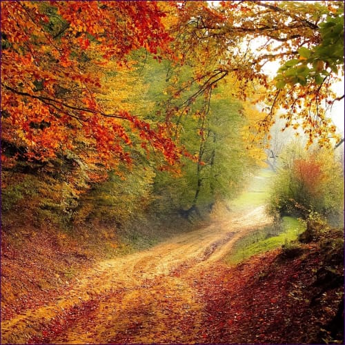 Power of Autumn Reiki Empowerment