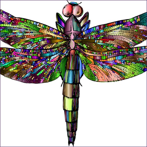 Rainbow Dragonfly Reiki-Healing Empowerment