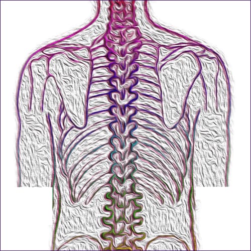 Scoliosis Healing Reiki