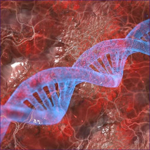 The DNA Alignment Activation - digital download