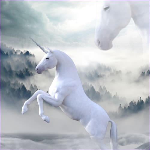 The Unicorn’s King Reiki