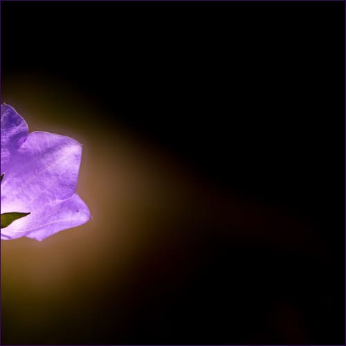 Violet Light Reiki Attunement