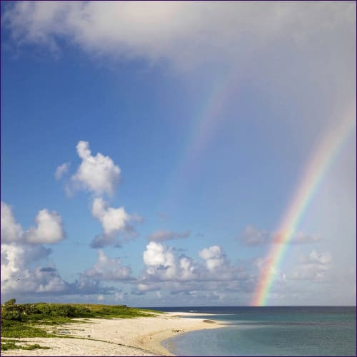 Walking The Rainbow Reiki Attunement